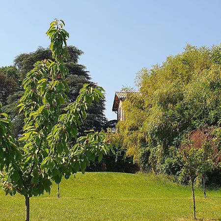 Douceurs Des Vignes Du Vivian Villa Denice Exterior photo