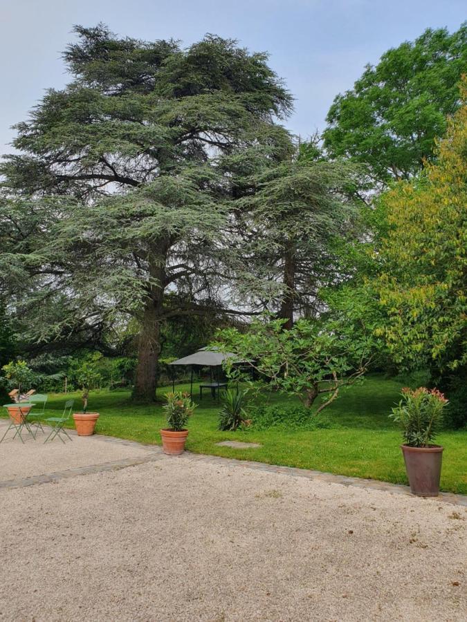 Douceurs Des Vignes Du Vivian Villa Denice Exterior photo